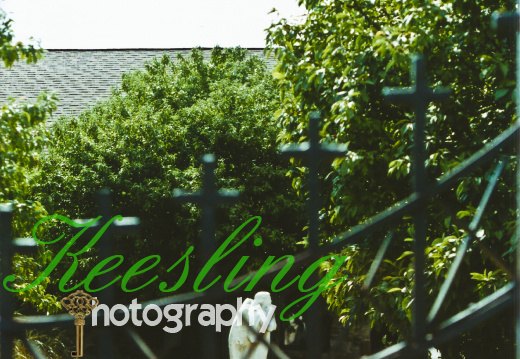 35mm Film Gallery
