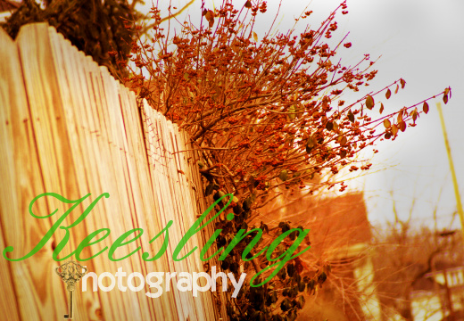 Outside Decor