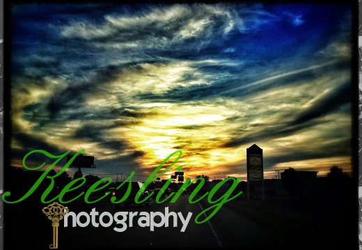 Pic Of The Day