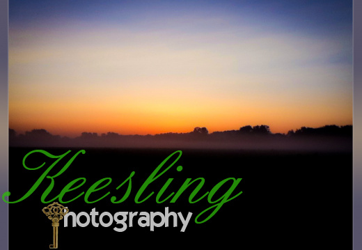 Pic 08-01-2012-2001012321-O