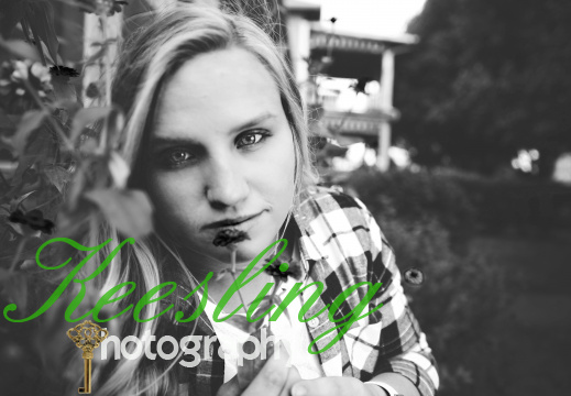  PY 3464 custom bw
